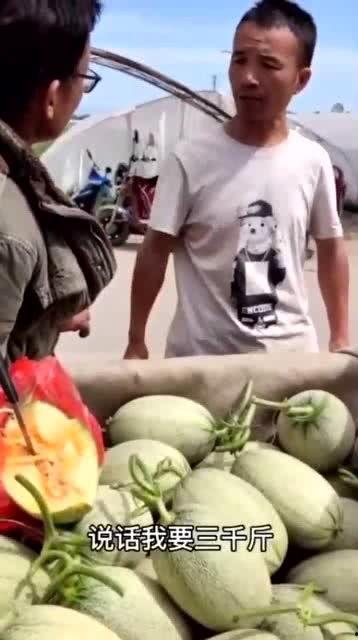 吃瓜假千金免费全集